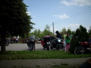 My Gallery: Image