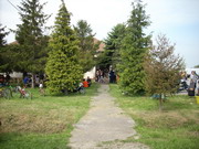 My Gallery: Image