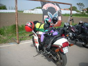 My Gallery: Image