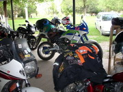 My Gallery: Image